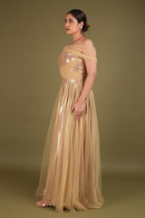 Gold  Metallic  GownDSC02594