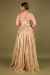 Gold  Metallic  GownDSC02600