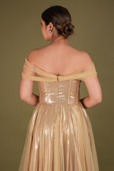 Gold  Metallic  GownDSC02601