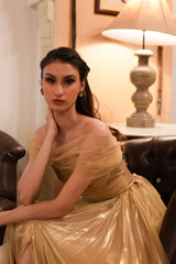 Gold  Metallic  GownDSC06389