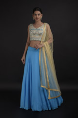 Blue Flair Lehenga4537_video