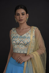 Blue Flair Lehenga_DTR9439