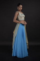 Blue Flair Lehenga_DTR9441