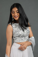 Grey Embroidered Lehenga SetIMG_1755