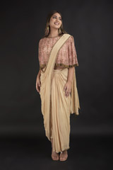 Beige Hand Embroidered  Saree Gown4546_video