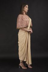 Beige Hand Embroidered  Saree Gown_DTR1198