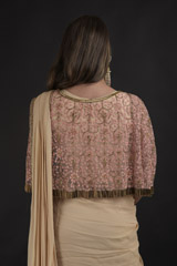 Beige Hand Embroidered  Saree Gown_DTR1201