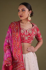 Red Chikankari LehengaDSC03373