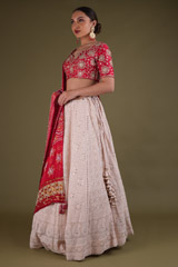 Red Chikankari LehengaDSC03376