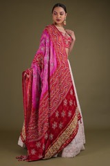 Red Chikankari LehengaDSC03377