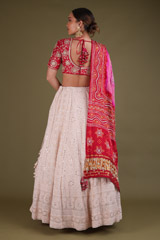 Red Chikankari LehengaDSC03380