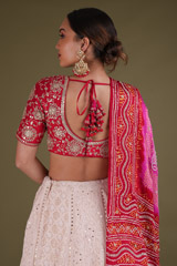 Red Chikankari LehengaDSC03381
