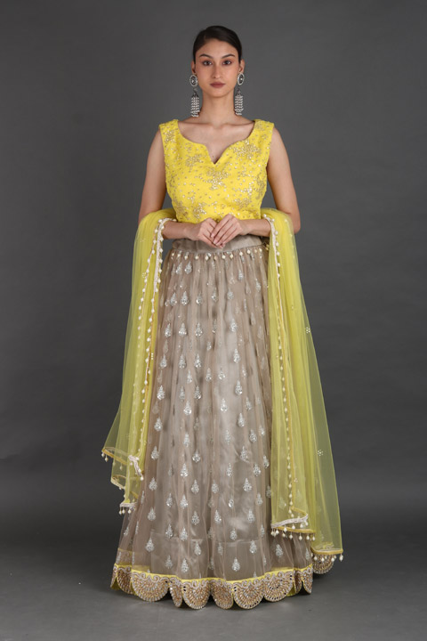 Grey Zardosi Embroidered Lehenga