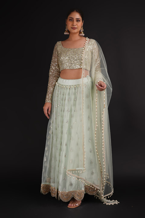 Pista Green Embellished Lehenga