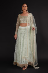 Pista Green Embellished Lehenga