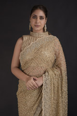 Beige Pearl Embroidered Saree_DTR2696