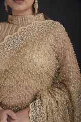 Beige Pearl Embroidered Saree_DTR2697