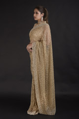 Beige Pearl Embroidered Saree_DTR2701