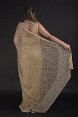 Beige Pearl Embroidered Saree_DTR2703