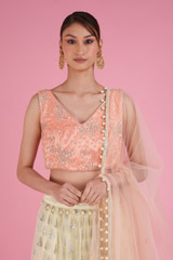 Banana Yellow Lehenga With peach   BlouseDSC05631