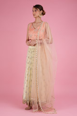 Banana Yellow Lehenga With peach   BlouseDSC05632