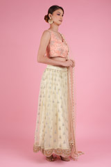 Banana Yellow Lehenga With peach   BlouseDSC05633