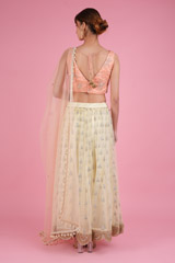 Banana Yellow Lehenga With peach   BlouseDSC05636