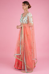 Zardosi LehengaDSC05669