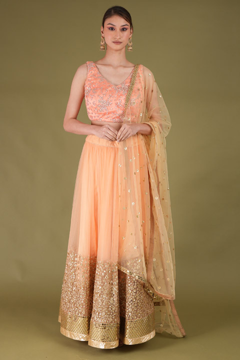 Desert  Peach Sand Sequin Lehenga