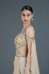 Gold Shimmer Saree GownIMG_1647
