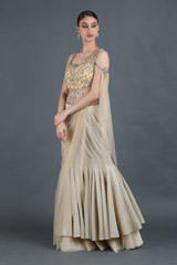 Gold Shimmer Saree GownIMG_1650