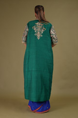 Blue Embroidered SareeDSC09533