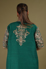 Blue Embroidered SareeDSC09534