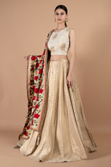 Banarasi LehengaDSC01006