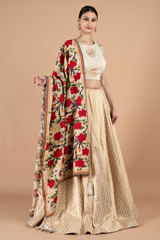 Banarasi LehengaDSC01009