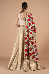 Banarasi LehengaDSC01013