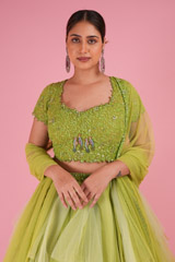 Shades of Green LehengaDSC02481
