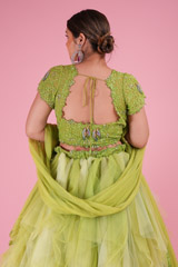 Shades of Green LehengaDSC02493