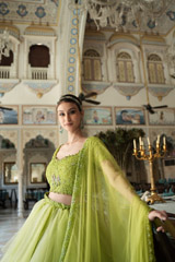 Shades of Green LehengaDSC03404
