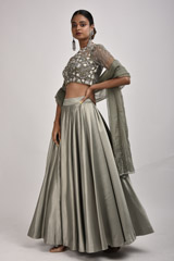 Olive Emblished Lehenga_SUB8151