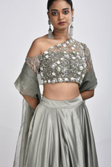 Olive Emblished Lehenga_SUB8160