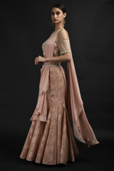 Peach Embellished Saree Gown_SUB9383