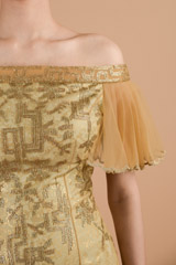 Chamagne Shaded Dress_DTR4441