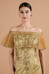 Chamagne Shaded Dress_DTR4442