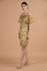 Chamagne Shaded Dress_DTR4443