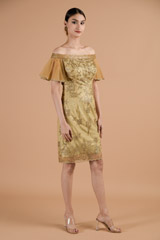 Chamagne Shaded Dress_DTR4445