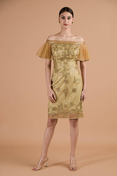 Chamagne Shaded Dress