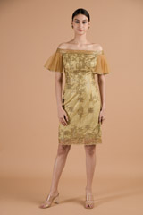 Chamagne Shaded Dress_DTR4446