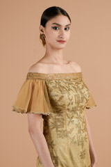 Chamagne Shaded Dress_DTR4448