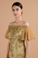 Chamagne Shaded Dress_DTR4449